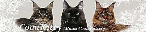 CoonKitty