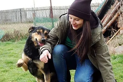 Borek młody psiak około 3 lat bardzo wesoły i otwa