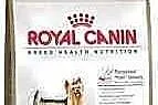 Royal Canin YORK Adult 15 kg york