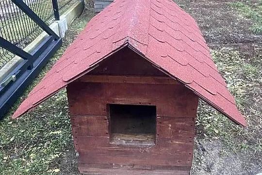 buda dla psa, Podkarpackie, Głogów Małopolski