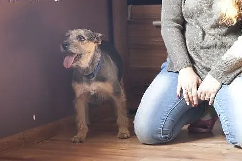 ZOJA cudo nad cudami do adopcji :),  Kundelki cała