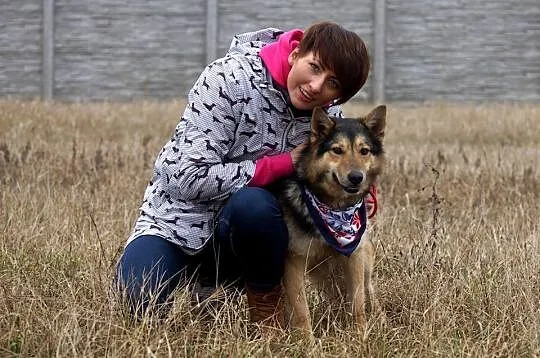 Młody, wesoły Riko, pozytywny pies szuka pozytywne