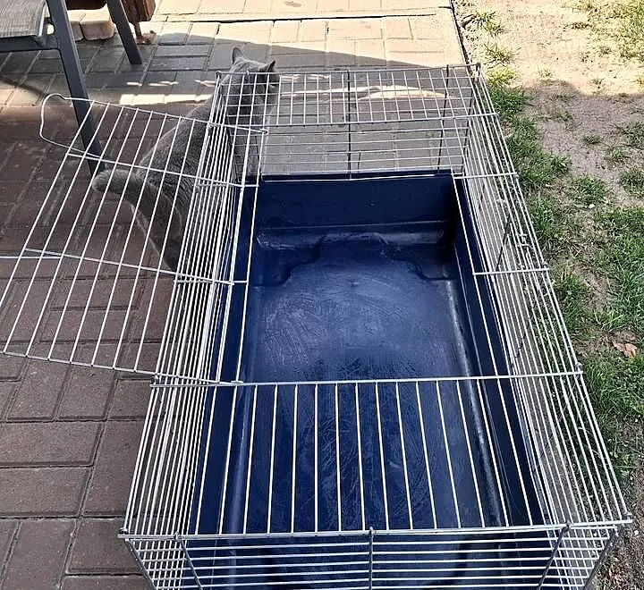 Klatka do królika 100 cm, Wielkopolskie, Ostrów Wielkopolski