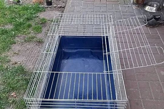 Klatka do królika 100 cm, Wielkopolskie, Ostrów Wielkopolski