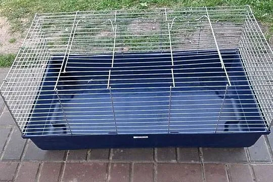 Klatka do królika 100 cm, Wielkopolskie, Ostrów Wielkopolski