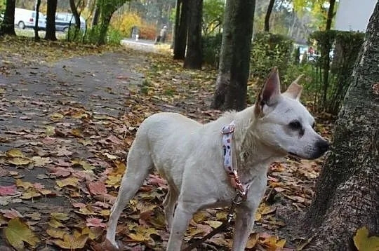 Staś się nazywam i do Twojego serca przybywam :), Łódzkie, Łódź