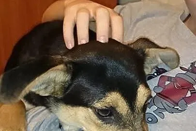 Gustawek w końcu szuka prawdziwego domku!