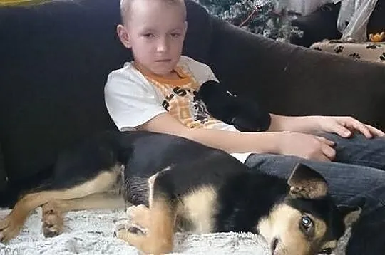 Gustawek w końcu szuka prawdziwego domku!