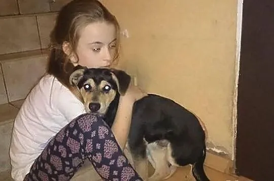 Gustawek w końcu szuka prawdziwego domku!