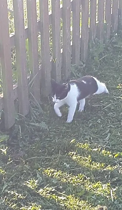 Nie znajdzie domu, bo jest taka zwykła? Cola, dol