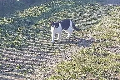 Nie znajdzie domu, bo jest taka zwykła? Cola,  dol
