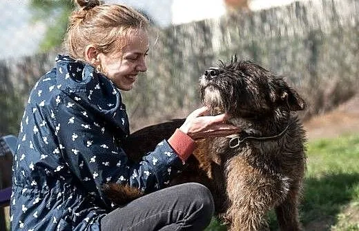 Łagodna, 20kg Londi szuka domu na zawsze, małopol