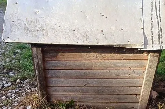 Sprzedam Budę Dla Psa, Wielkopolskie, Zbiersk-Cukrownia