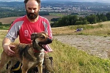 Milka szuka domu!,  dolnośląskie Jelenia Góra