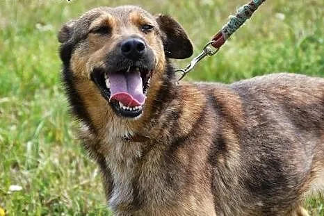 Britta nie wie co znaczy dom - pokaż jej, że można