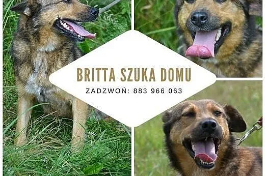 Britta nie wie co znaczy dom - pokaż jej, że można