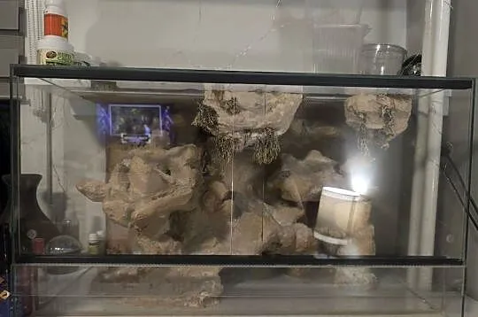 Terrarium dla gekona lamparciego