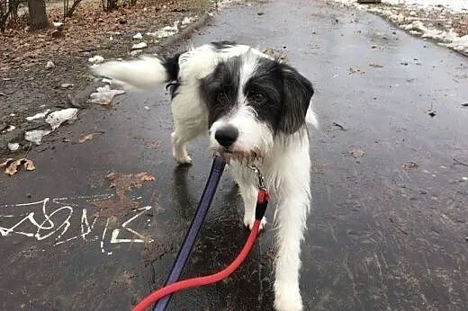 Radosna, młoda, bystra miłosć, cały Warren! Adoptu