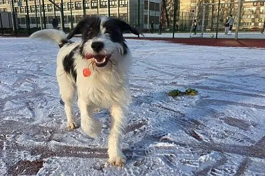 Radosna, młoda, bystra miłosć, cały Warren! Adoptu