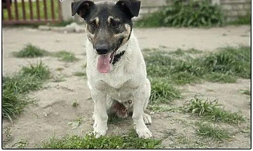 Nietypowy ROKI do pokochania :), kujawsko-pomorsk