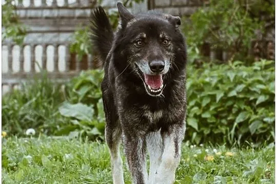 FRED I WILMA – dobrana para i w dom własny wiara, Łódzkie, Łódź