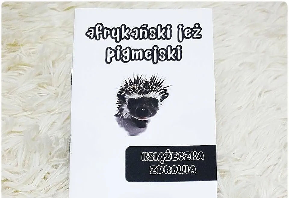 Książeczka Zdrowia Jeż pigmejski Nowa, Lubuskie, Lubsko
