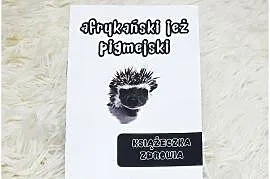 Książeczka Zdrowia Jeż pigmejski Nowa