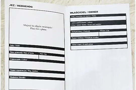 Książeczka Zdrowia Jeż pigmejski Nowa, Lubuskie, Lubsko
