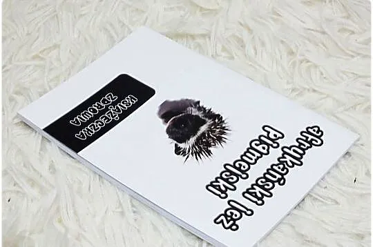 Książeczka Zdrowia Jeż pigmejski Nowa, Lubuskie, Lubsko