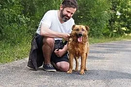Rudeł-wspaniały, kontaktowy pies szuka domu!, Kłomnice
