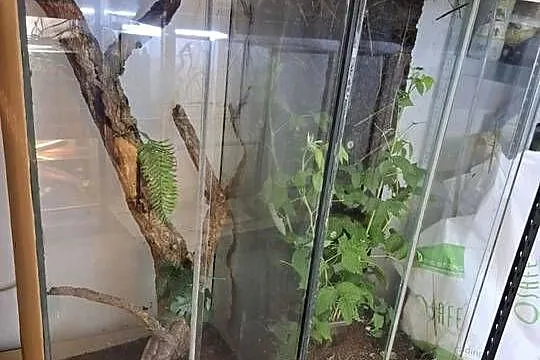Terrarium używane przerabiane z akwarium 50x45x100 cm