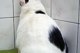 Kubuś_ Odchodząc zabierz mnie___