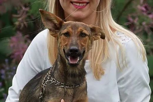Fanta młoda wesoła sunia szuka nowego domu!,  Kund