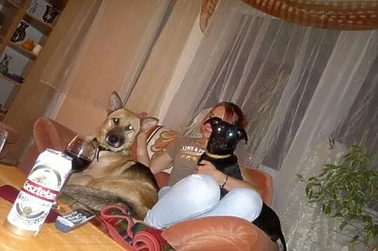Bary - fantastyczny psiak w typie ONK-a bardzo pil