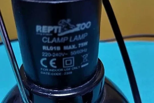 Klosz lampy Repti Zoo, Małopolskie, Kraków