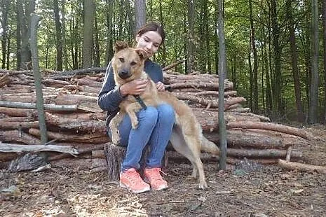 Foster- super przyjaciel- ok roczny,  małopolskie 