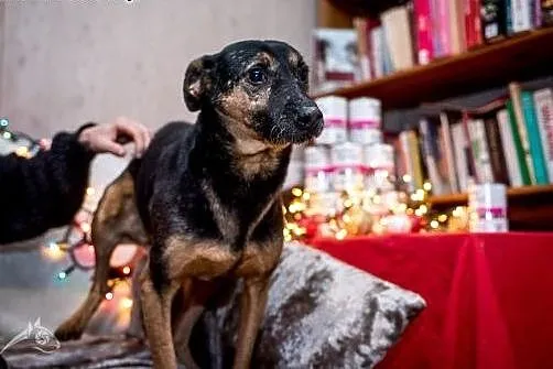 KRUKI - niezwykły, pozytywny, radosny - pokochasz?