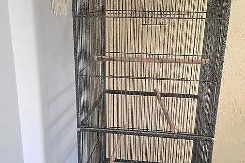 Klatka dla ptaków