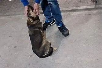 KAWA -poleca sie na dzień dobry :),  mazowieckie W