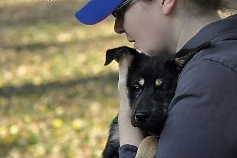 3 mies. pieszczoszka Hera szuka domu!,  mazowiecki
