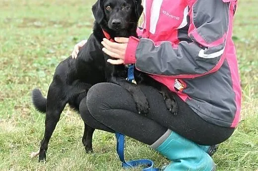Jednooki czarny książę Bagu,  lubuskie Gorzów Wiel