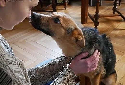 Hermionka - pyszczek stworzony do buziaczków ;),