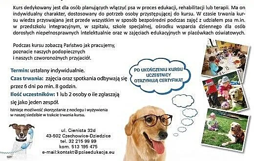 Dogoterapia w praktyce, śląskie Czechowice-Dziedz