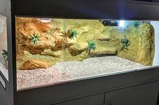 Terrarium specjalistyczne dla gekona lamparciego agamy brodatej