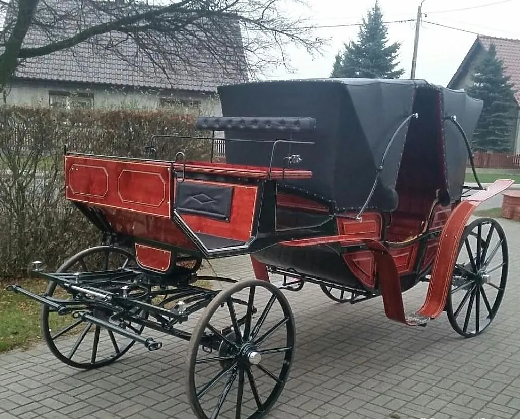 Sprzedam powóz