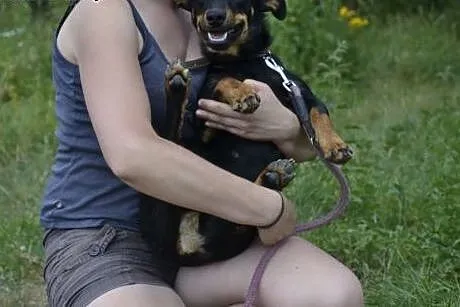 Niewielka, rozbrykana, wesolutka, kochana Żabka sz