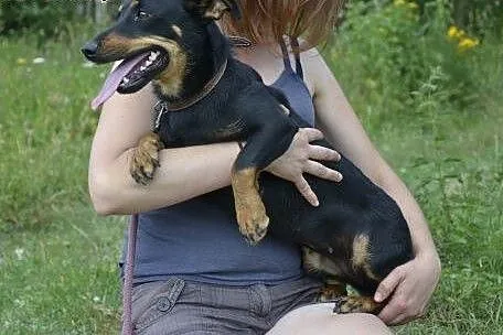 Niewielka, rozbrykana, wesolutka, kochana Żabka sz