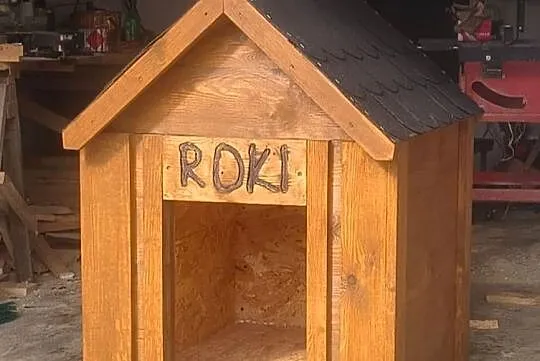 Budy dla psów