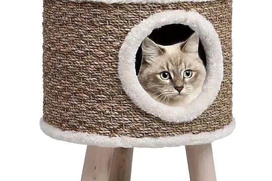 vidaXL Domek dla kota z drewnianymi nóżkami, 41 cm, trawa morska（SKU:170970