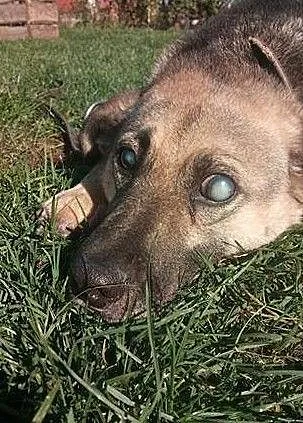 Mikołaj nie Święty, do zabawy zawsze chętny :), Śląskie, Racibórz